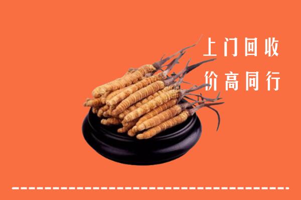 高价求购：巴中市通江县回收散虫草
