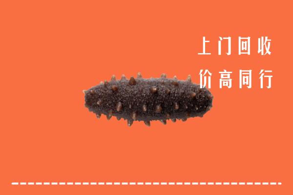 高价求购：巴中市通江县回收海参