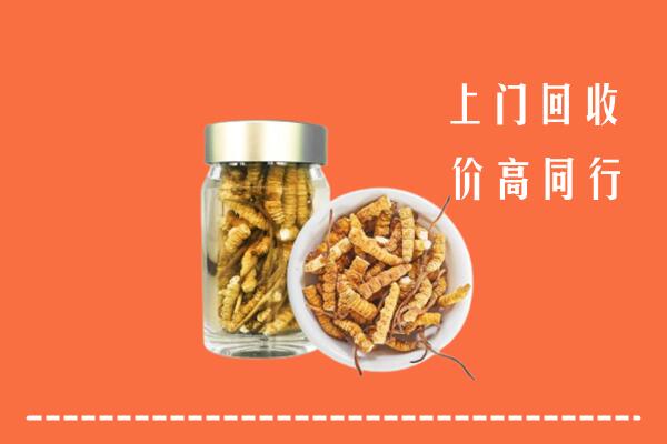 巴中市通江县高价回收冬虫夏草